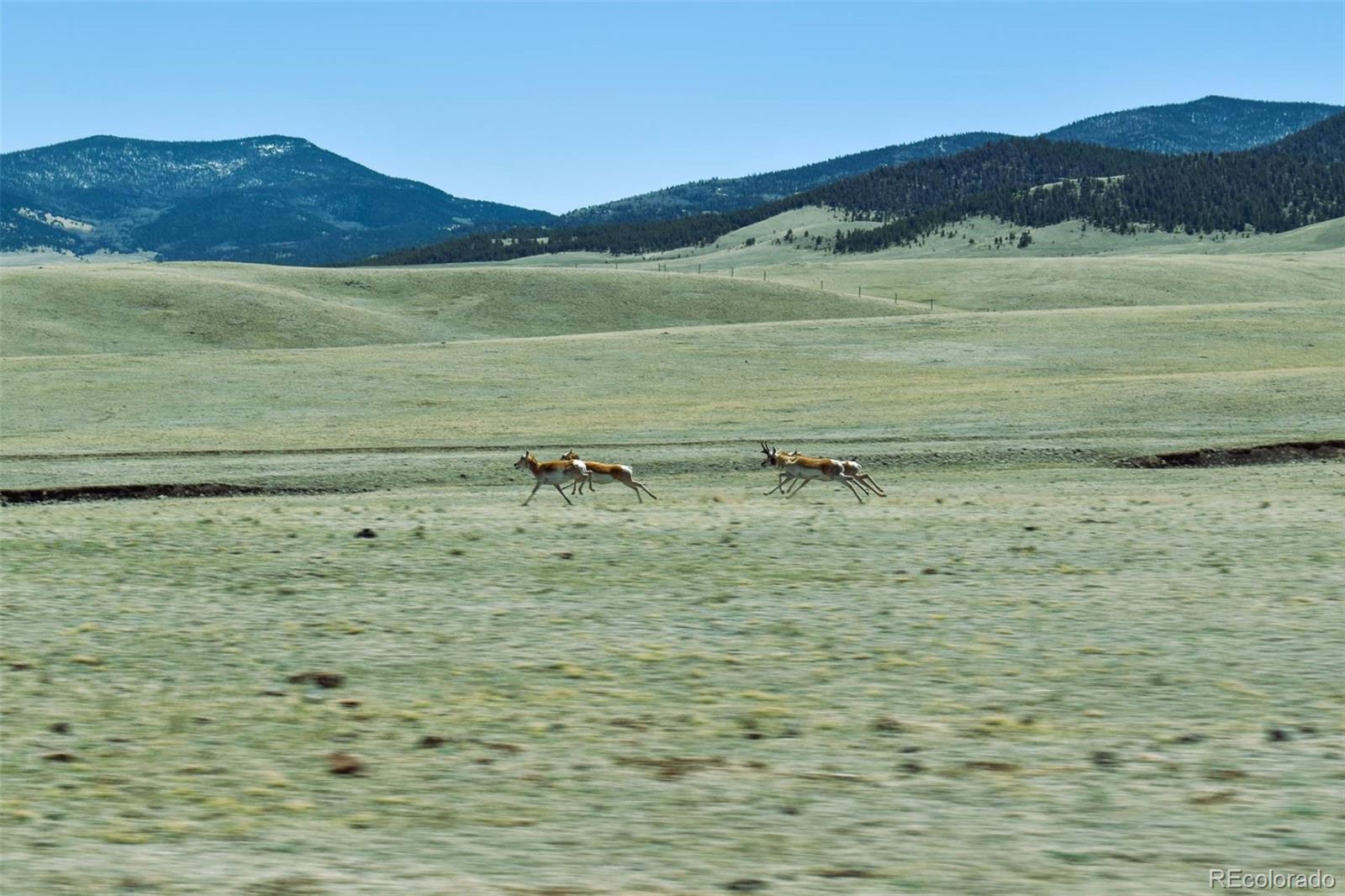 Lot 16 Canyon Ranch Road Hartsel, CO 80449 - Photo 28 of 36 Gallery Image 28