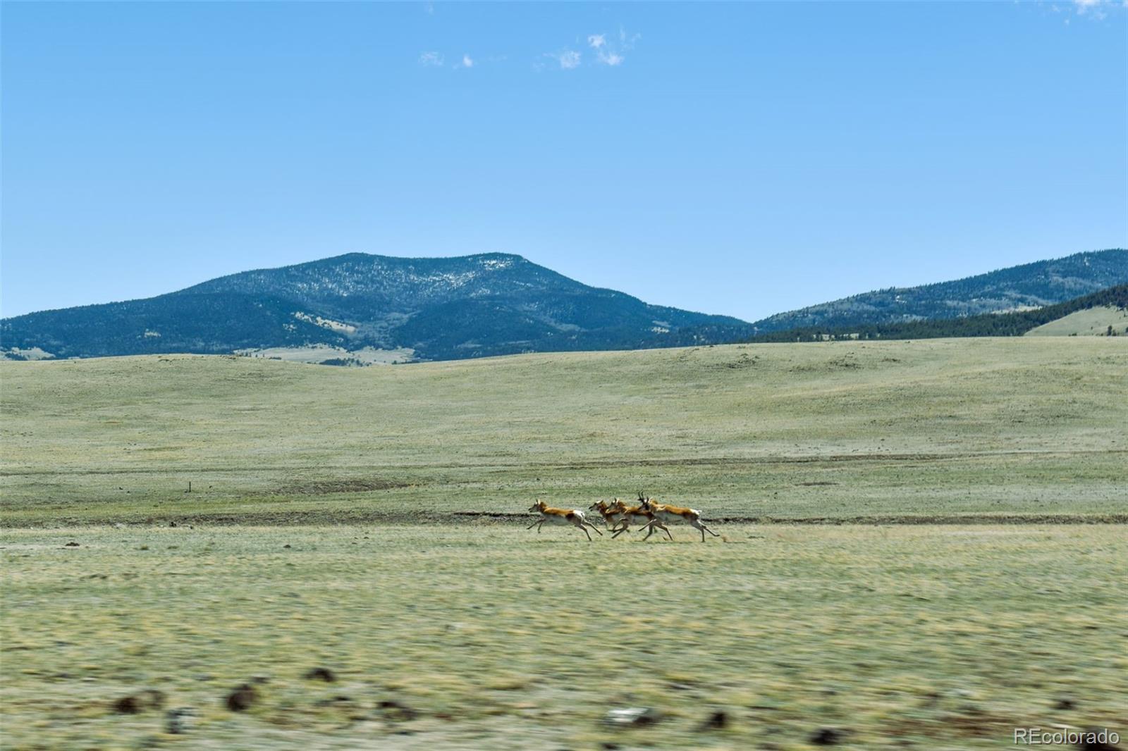 Lot 16 Canyon Ranch Road Hartsel, CO 80449 - Photo 29 of 36 Gallery Image 29