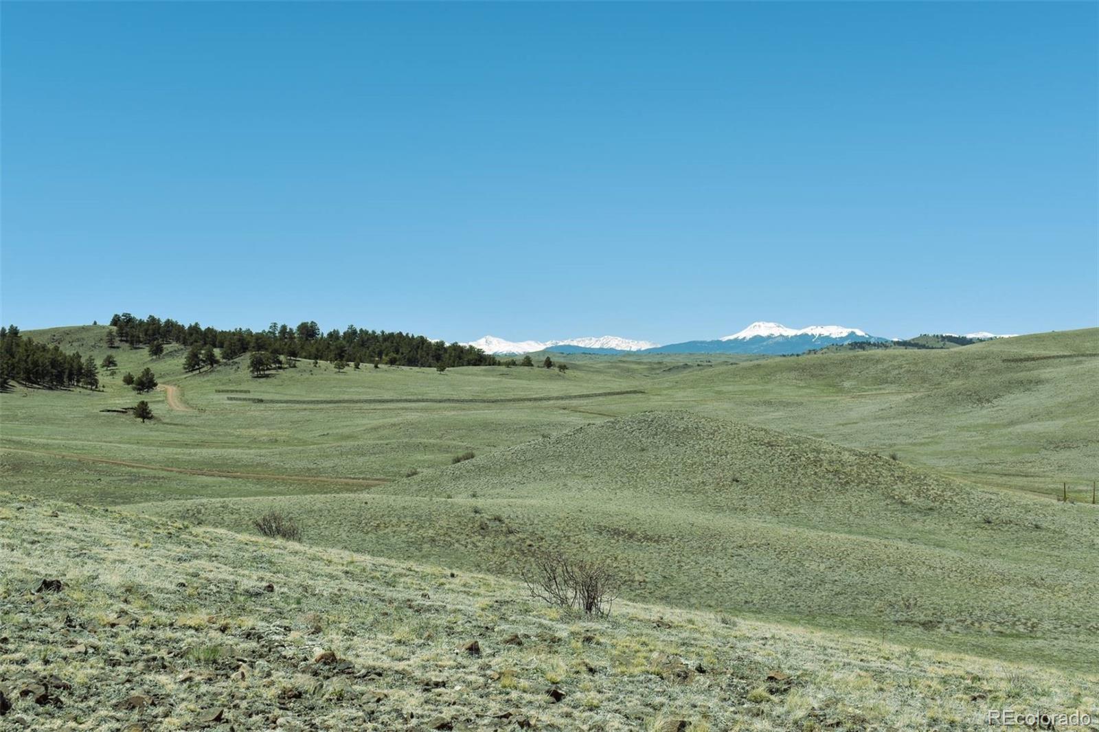 Lot 16 Canyon Ranch Road Hartsel, CO 80449 - Photo 30 of 36 Gallery Image 30