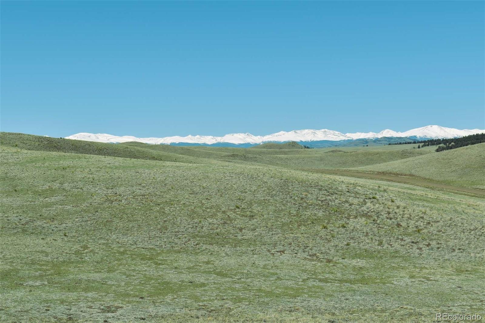 Lot 16 Canyon Ranch Road Hartsel, CO 80449 - Photo 3 of 36 Gallery Image 3