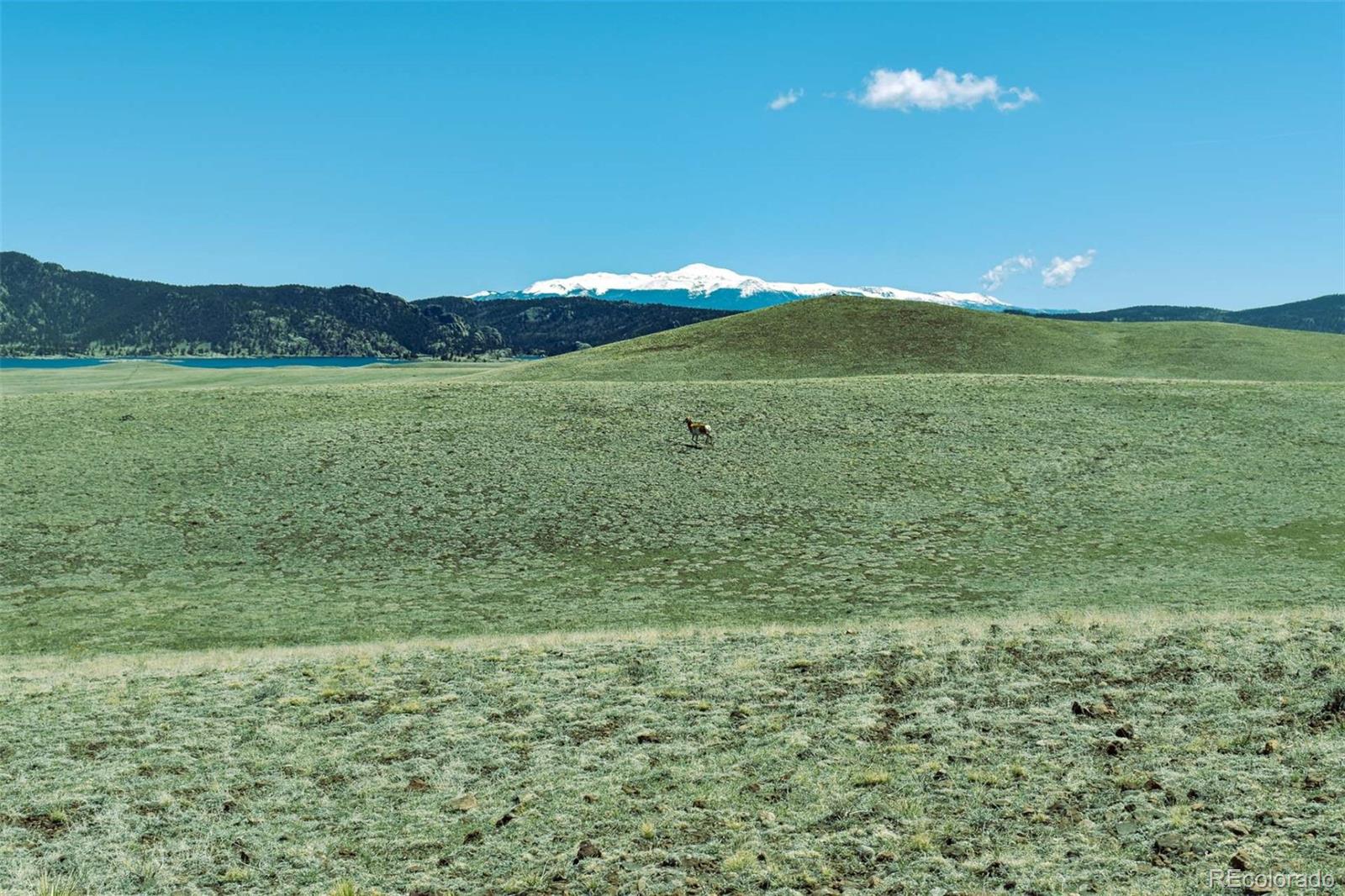 Lot 16 Canyon Ranch Road Hartsel, CO 80449 - Photo 5 of 36 Gallery Image 5