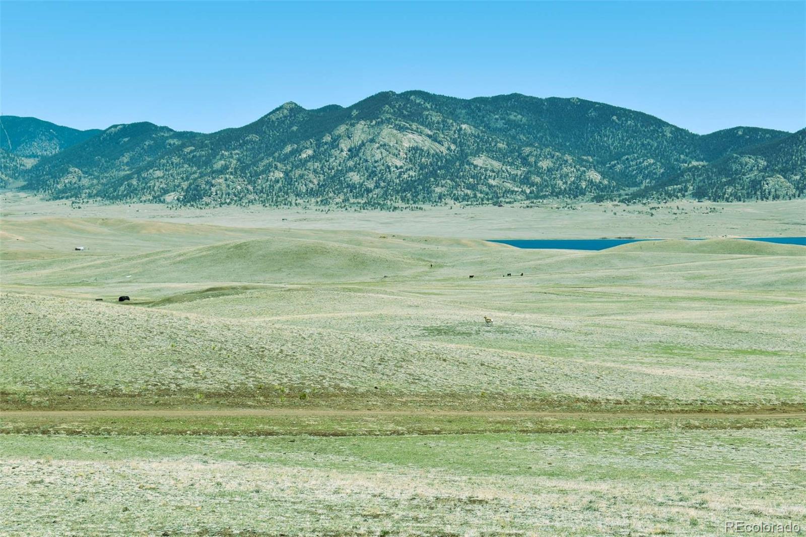Lot 16 Canyon Ranch Road Hartsel, CO 80449 - Photo 8 of 36 Gallery Image 8