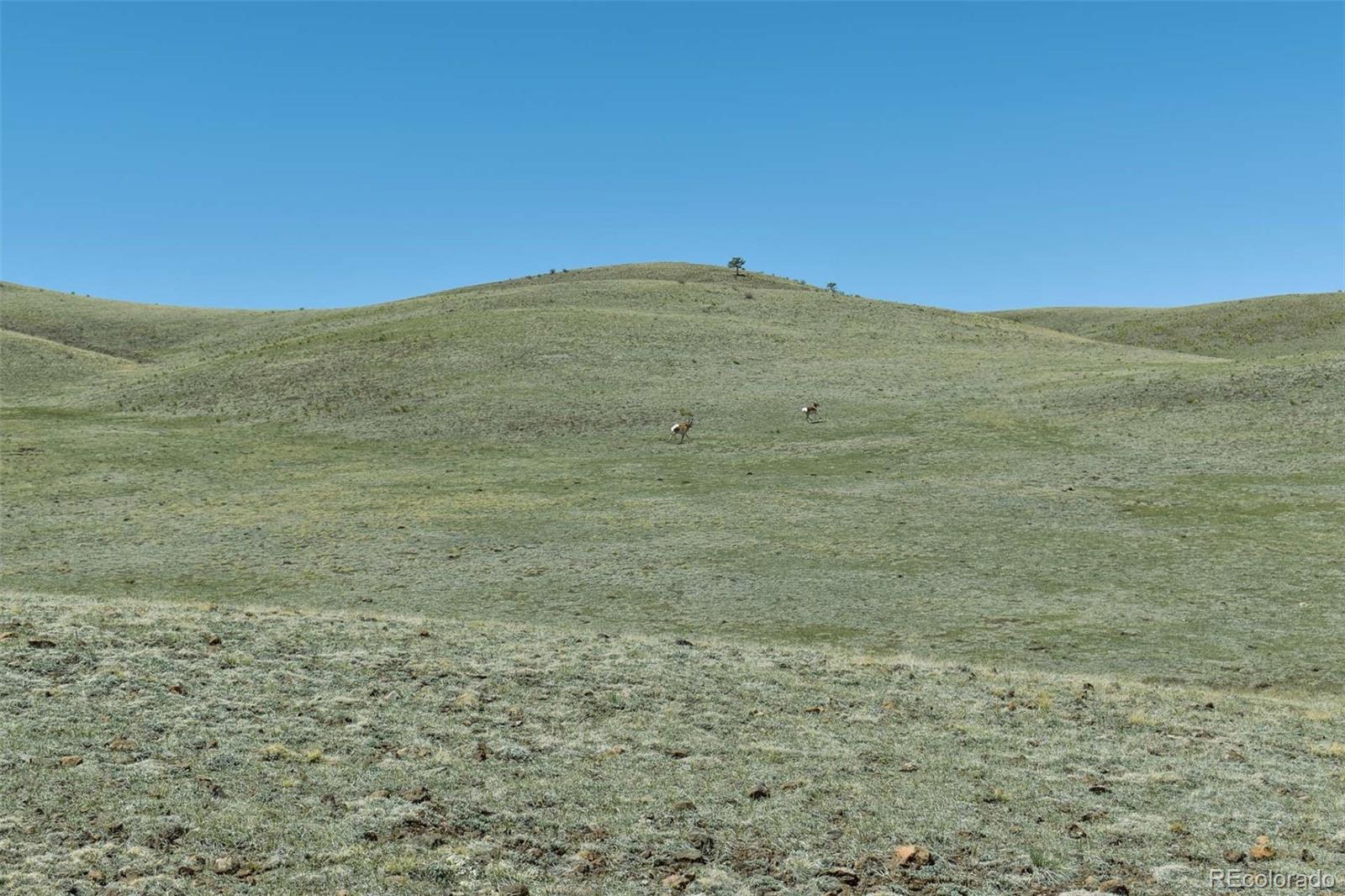 Lot 16 Canyon Ranch Road Hartsel, CO 80449 - Photo 9 of 36 Gallery Image 9