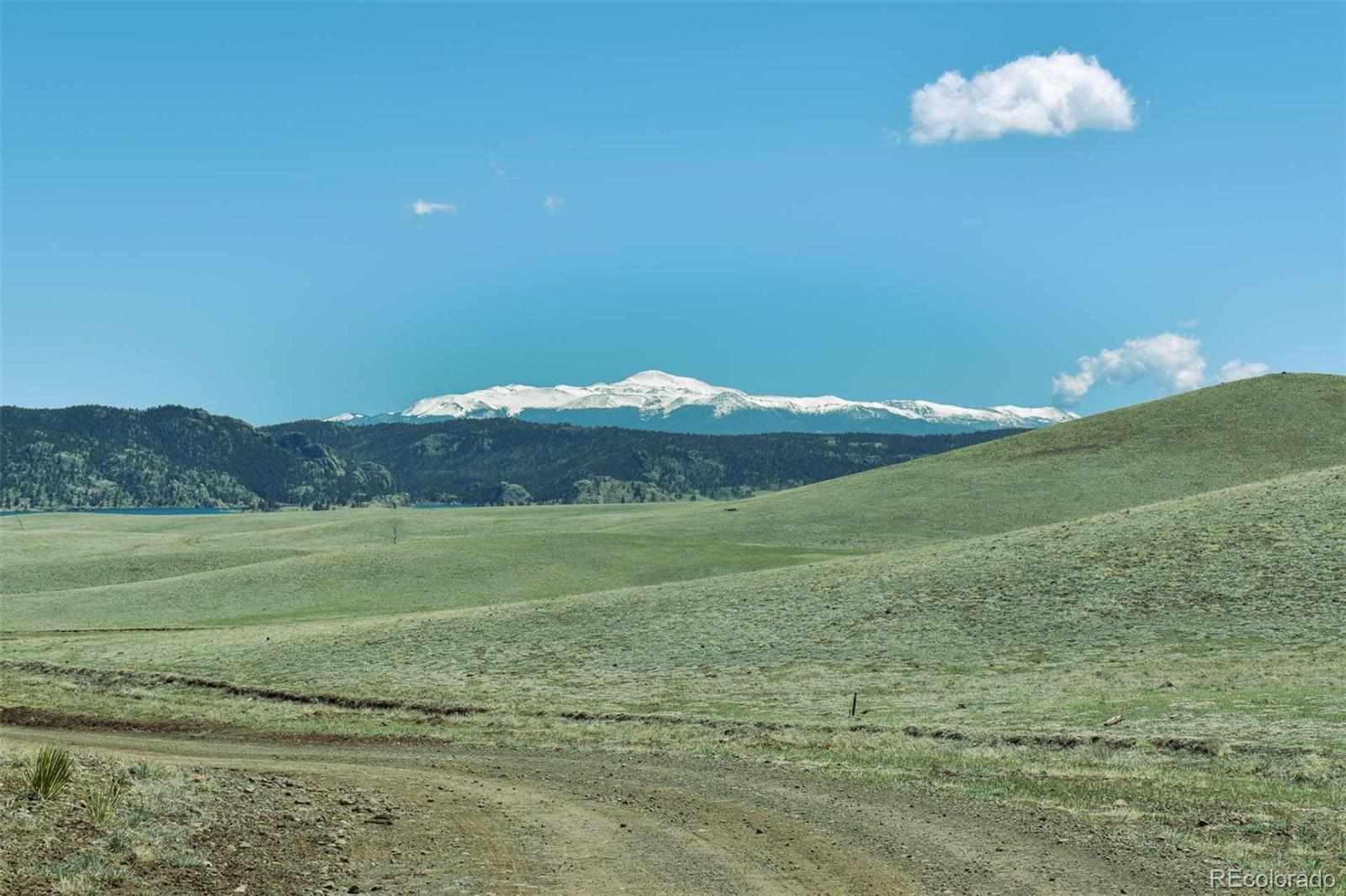 Lot 16 Canyon Ranch Road Hartsel, CO 80449 - Photo 10 of 36 Gallery Image 10