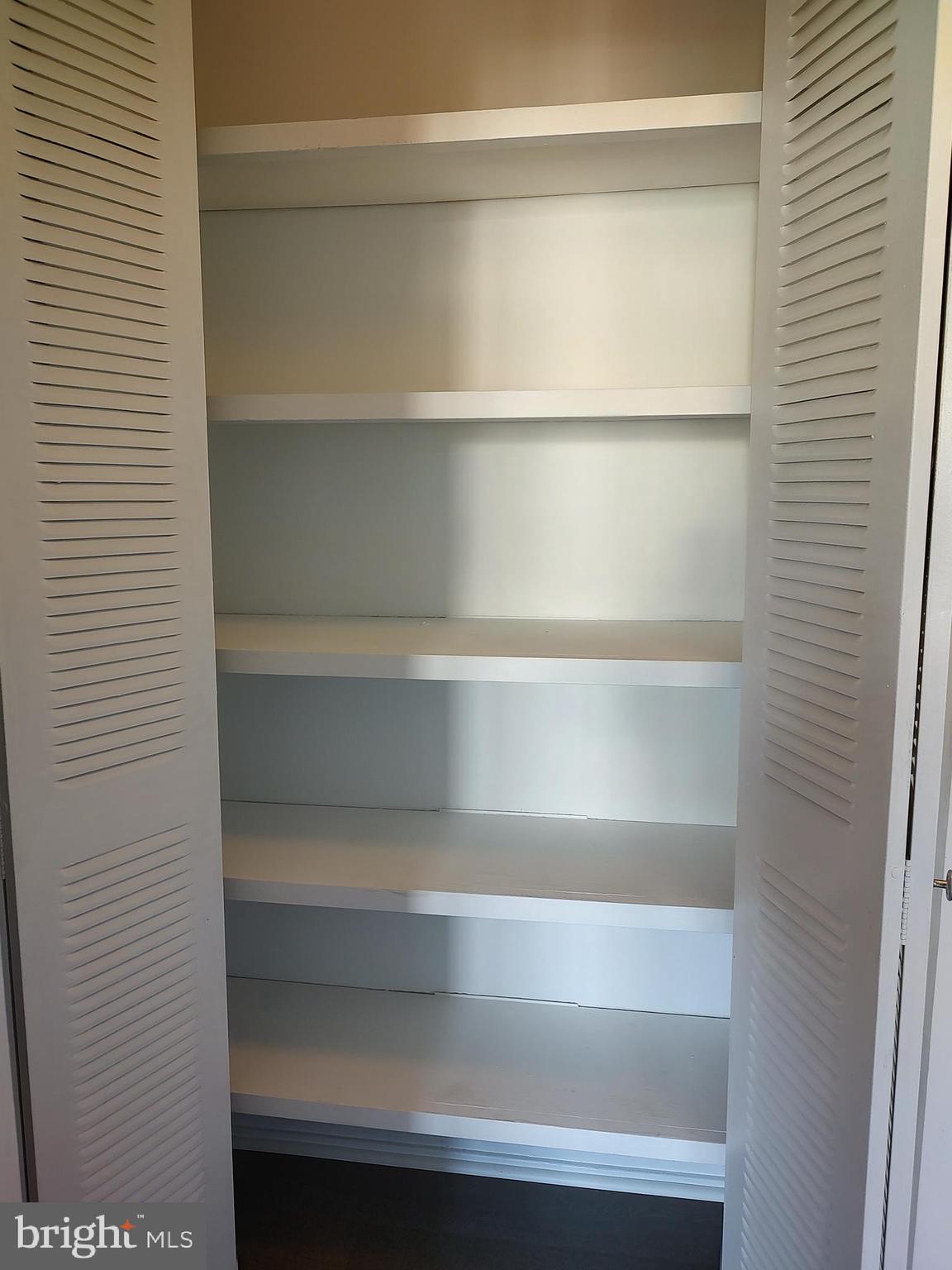 1301 Delaware Avenue Southwest, Unit N103 Washington, DC 20024 - Photo 20 of 26 a view of walk in closet with empty racks