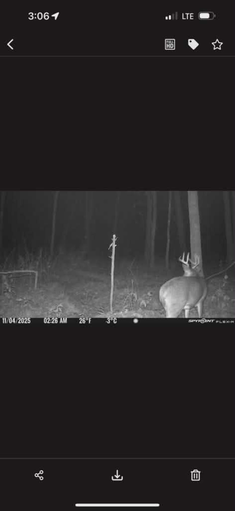 39.94-acres County Rd V Pittsville, WI 54466 - Photo 14 of 17