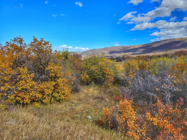 $395,000 | 65 Mesa Co 81643, Mesa, CO 81643