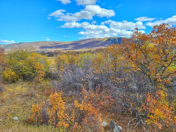 $395,000 | 65 Mesa Co 81643, Mesa, CO 81643