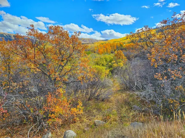 $395,000 | 65 Mesa Co 81643, Mesa, CO 81643