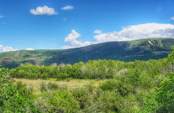 $395,000 | 65 Mesa Co 81643, Mesa, CO 81643