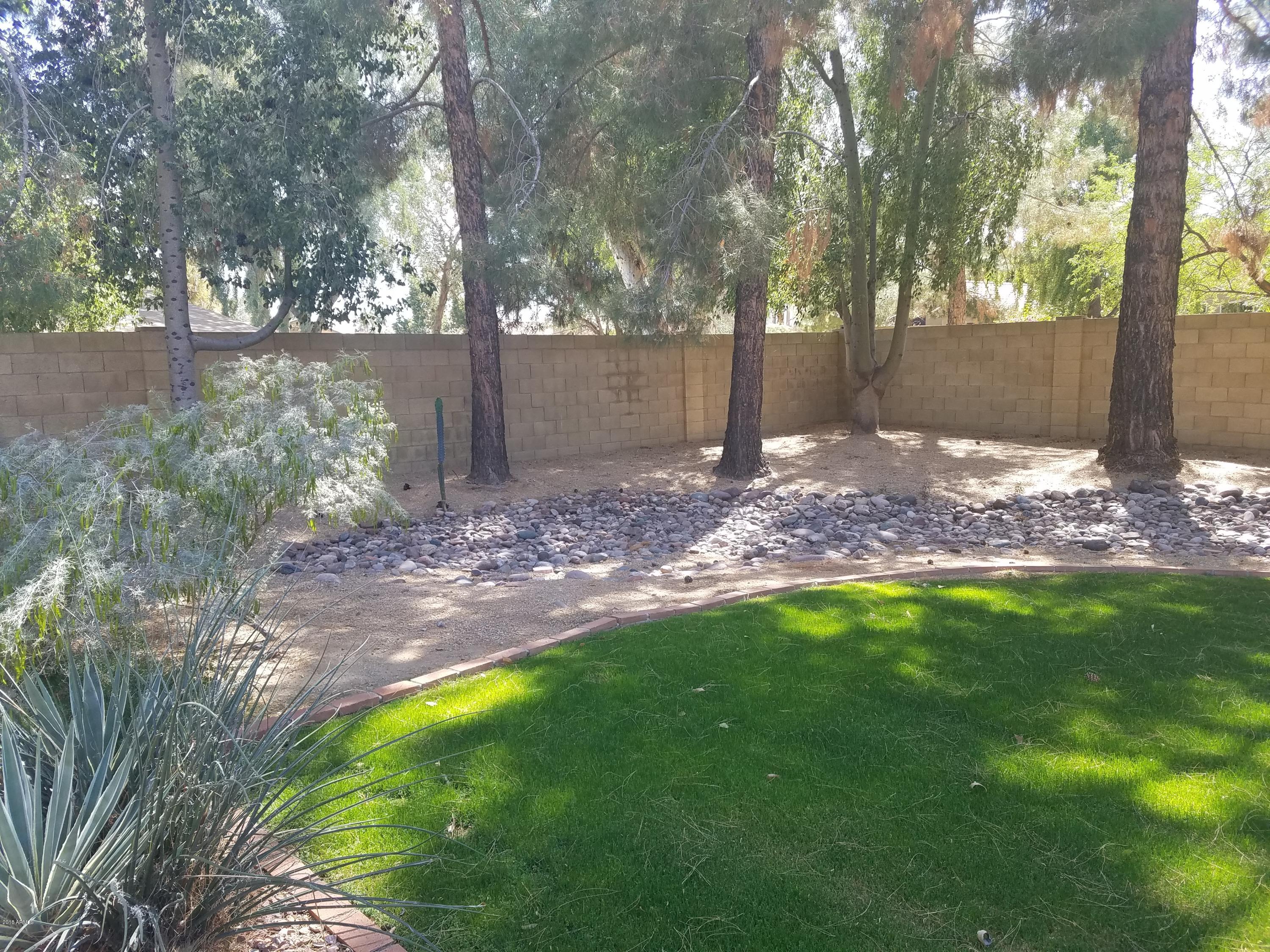 5109 East Kathleen Road Scottsdale, AZ 85254 - Photo 11 of 54 a view of a yard with a tree