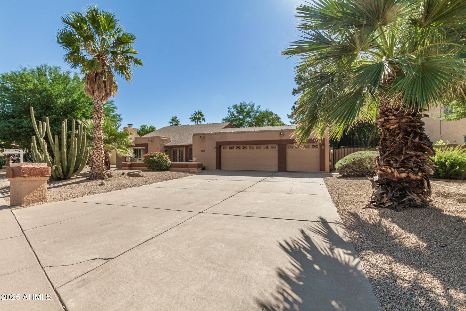 5109 East Kathleen Road Scottsdale, AZ 85254 - Photo 18 of 54 a house with palm tree in front of it