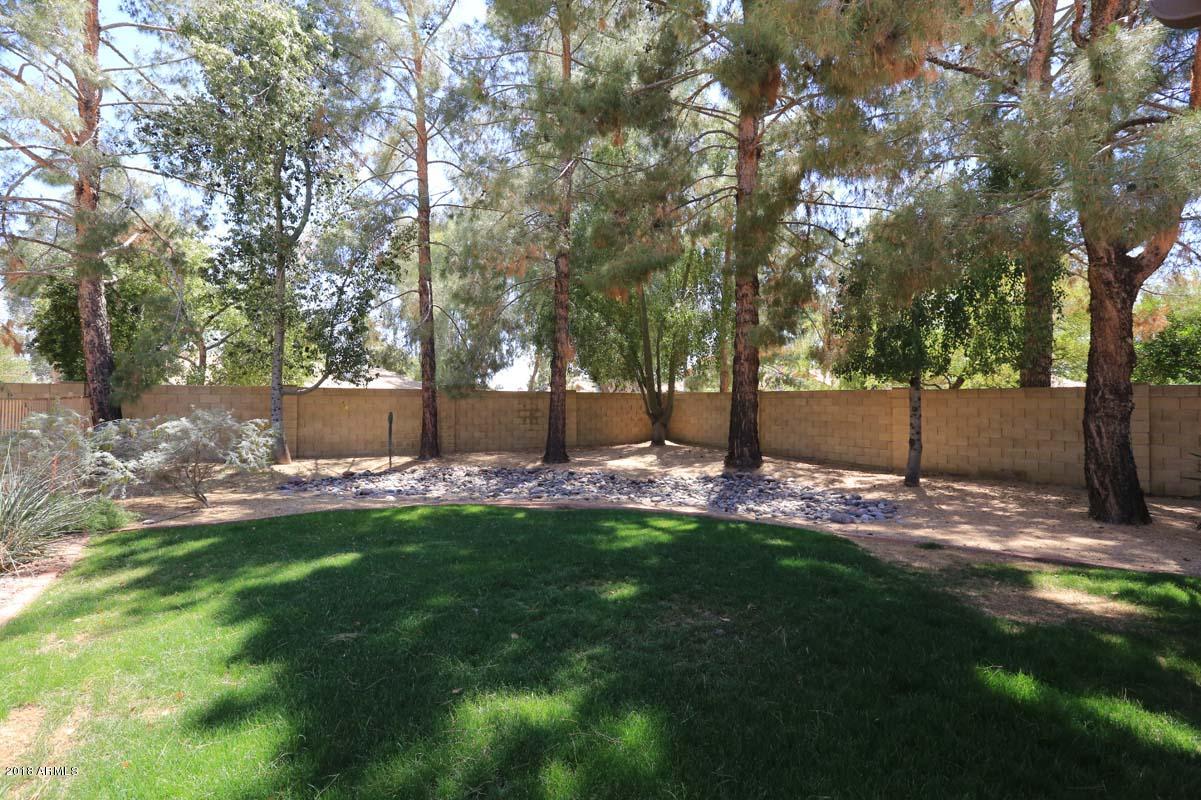 5109 East Kathleen Road Scottsdale, AZ 85254 - Photo 10 of 54 a view of a backyard with large trees