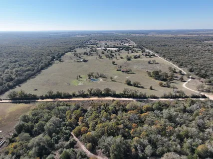 a view of a dry yard with trees