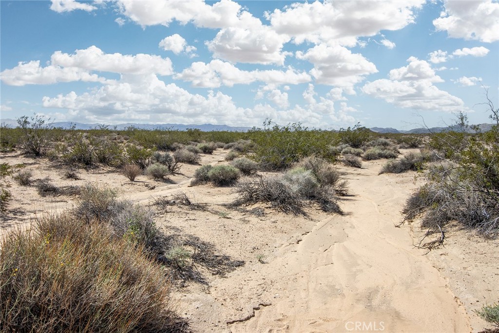 0 Brants Cross Road Joshua Tree, CA 92252 - Photo 5 of 7 a view of outdoor space and covered with trees