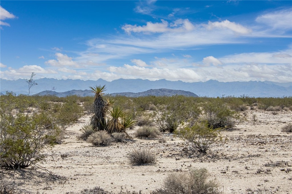 0 Brants Cross Road Joshua Tree, CA 92252 - Photo 7 of 7 a view of a lake with a mountain