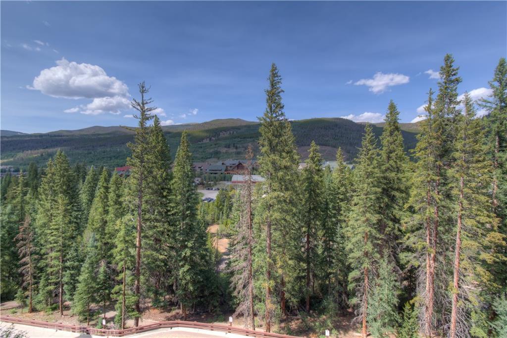 280 Trailhead Drive, Unit 3043 Keystone, CO 80435 - Photo 18 of 24 a view of a city with flower plants