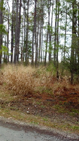 Lot 10 Mobjack Road North, VA 23128 - Photo 5 of 5 Gallery Image 5