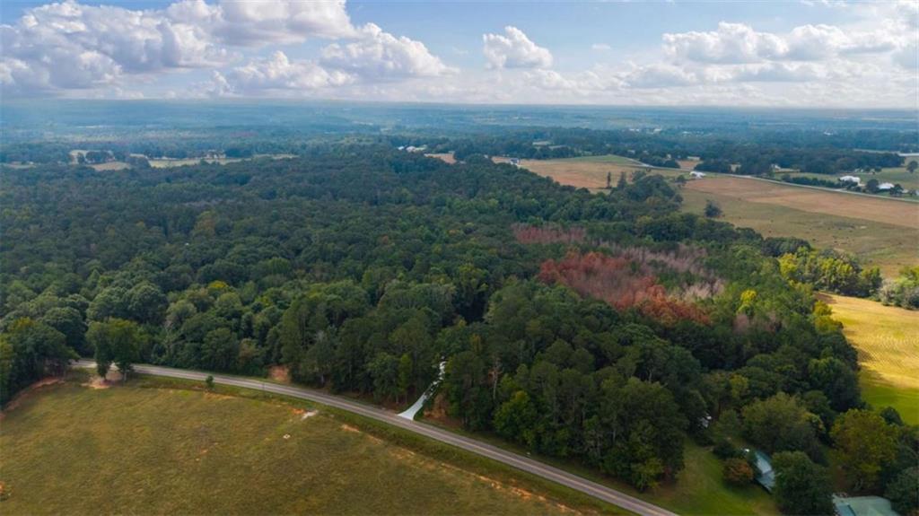 1810 Sandy Flat Road Bowdon, GA 30108 - Photo 37 of 48 Gallery Image 37