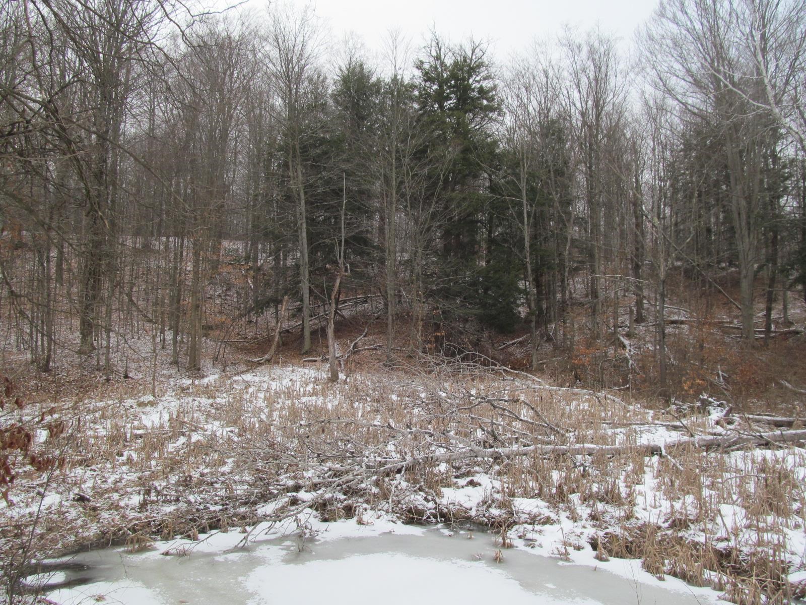 10-acres North 23 Road Mesick, MI 49668 - Photo 18 of 18
