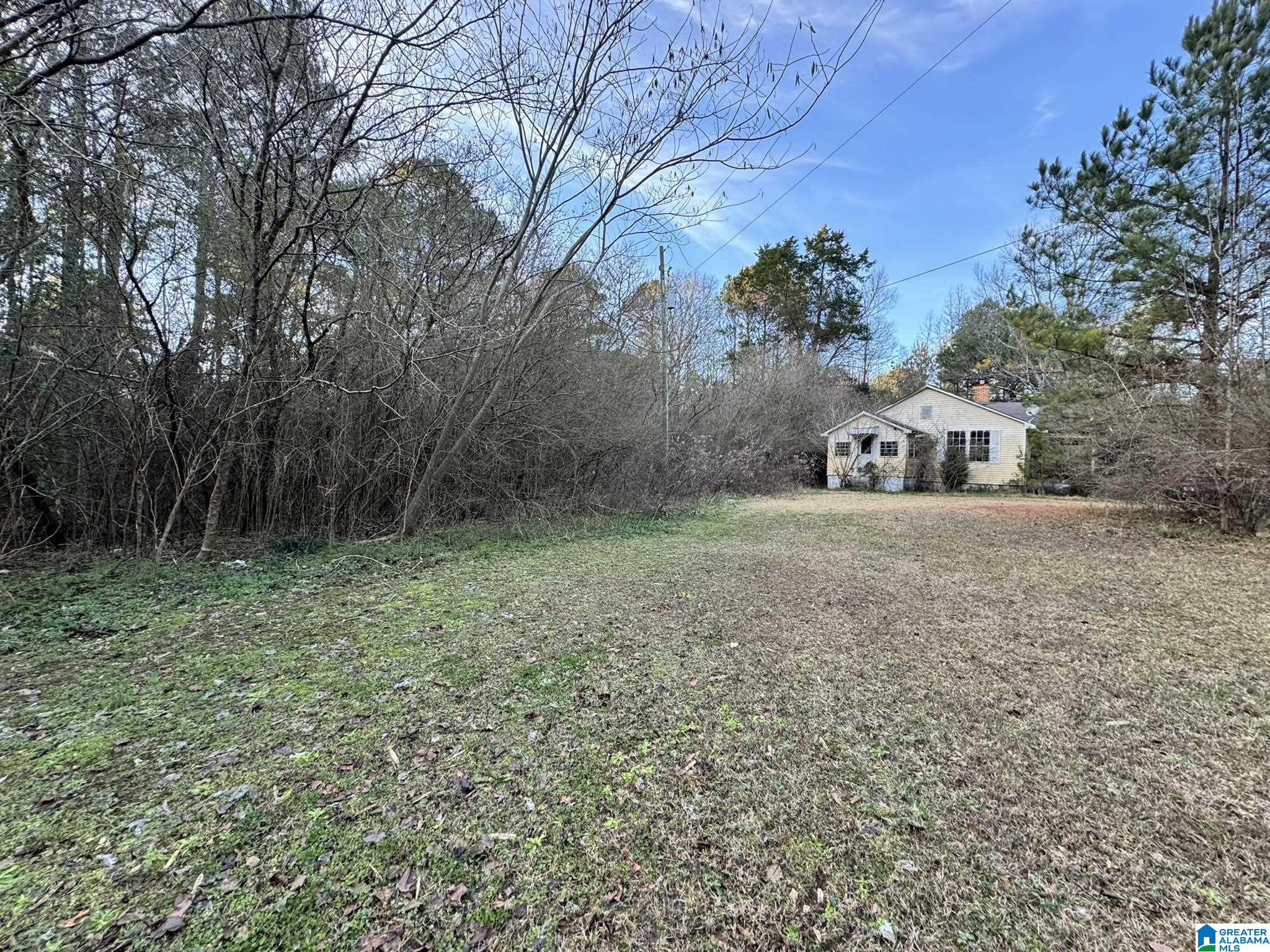 4200 Alexander Road Quinton, AL 35130 - Photo 2 of 8