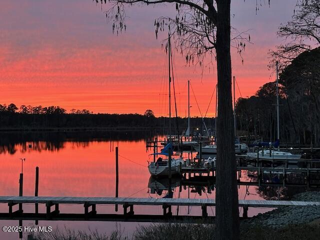 5504 Gondolier Drive New Bern, NC 28560 - Photo 66 of 87 IMG_8541