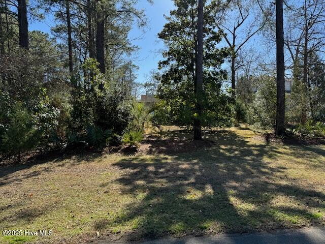 5504 Gondolier Drive New Bern, NC 28560 - Photo 74 of 87 IMG_9542