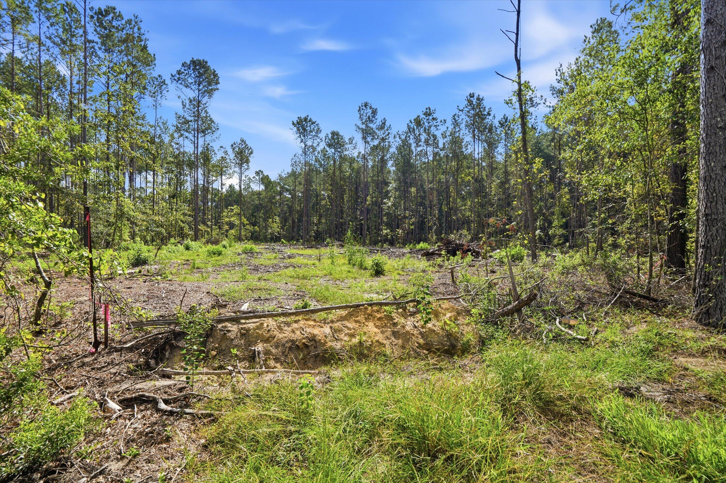 0 Barracada Road Walterboro, SC 29488 - Photo 11 of 26 09-009_DSC01466