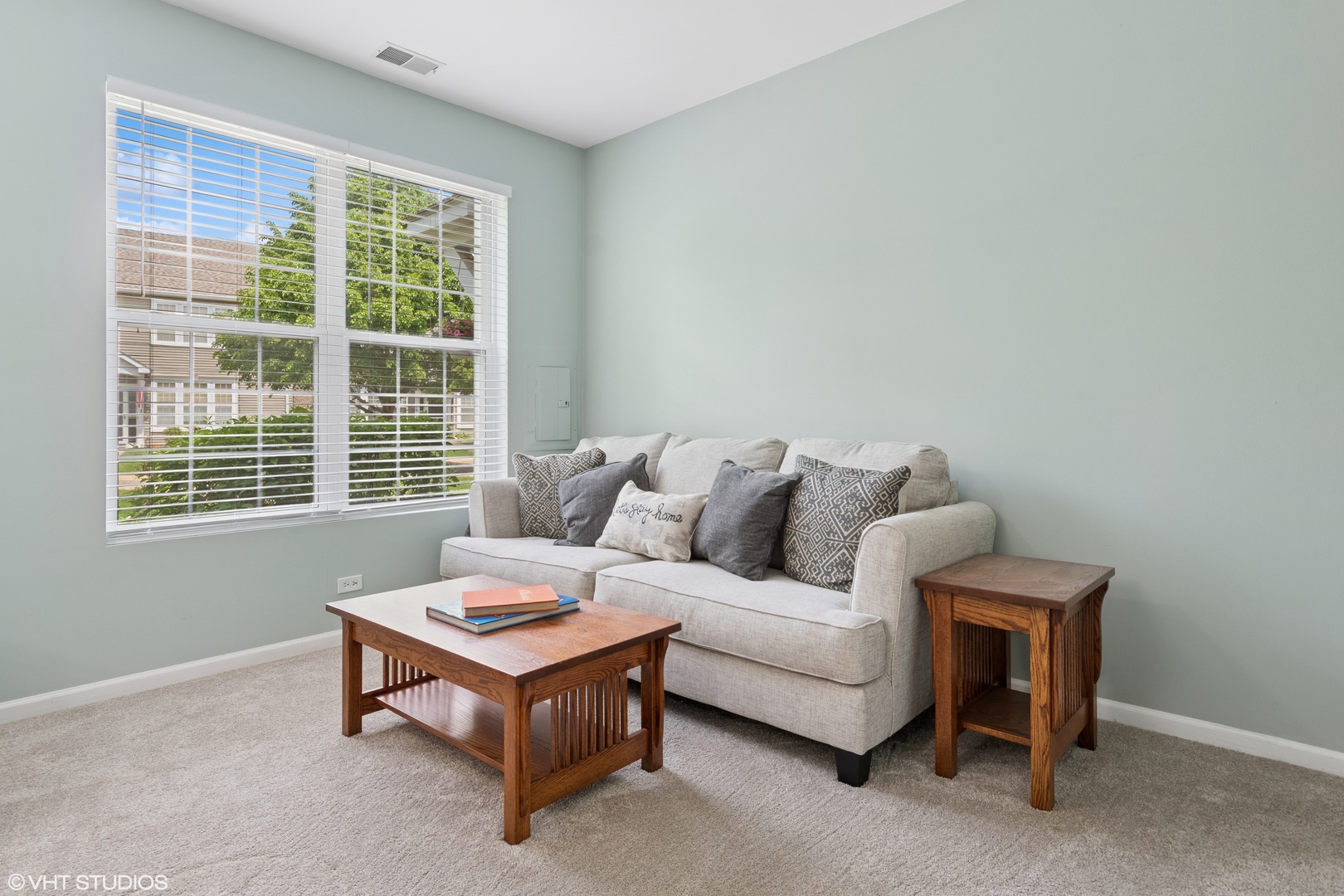 171 Springbrook Trail South Oswego, IL 60543 - Photo 7 of 20