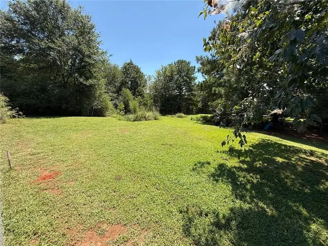 a view of a field with a tree