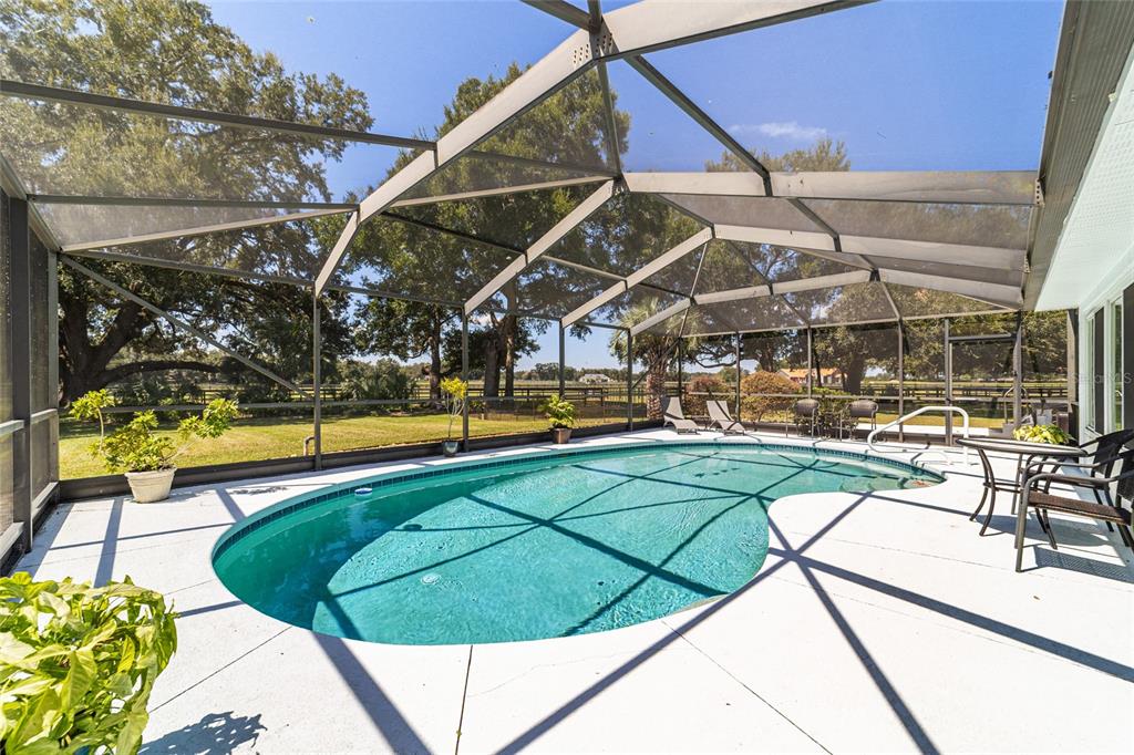16050 Northwest 10th Circle Citra, FL 32113 - Photo 50 of 71 a view of a swimming pool with a patio and plants