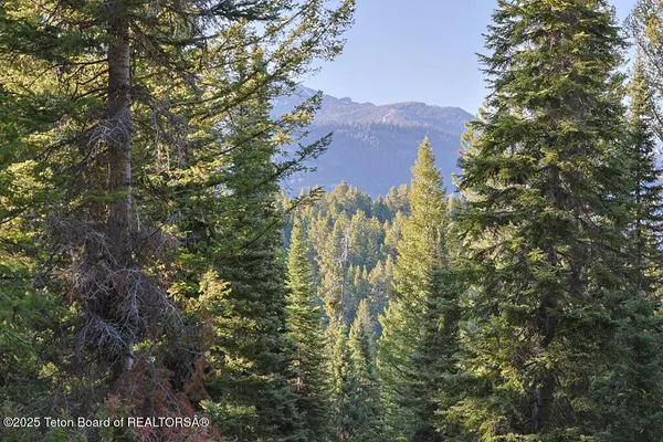 $1,480,000 | 6620 Lupine Trail, Wilson, WY 83014