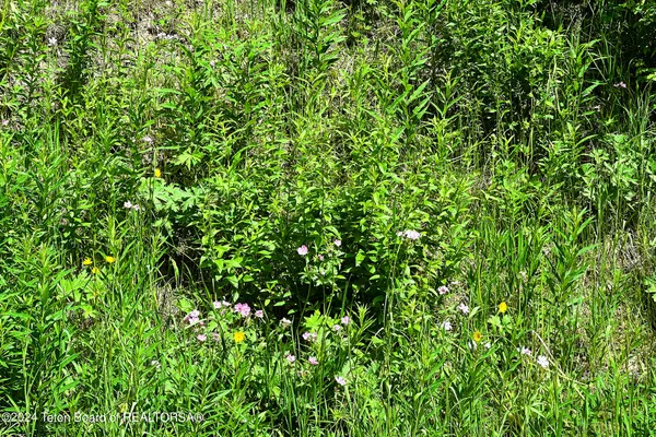 $1,480,000 | 6620 Lupine Trail, Wilson, WY 83014