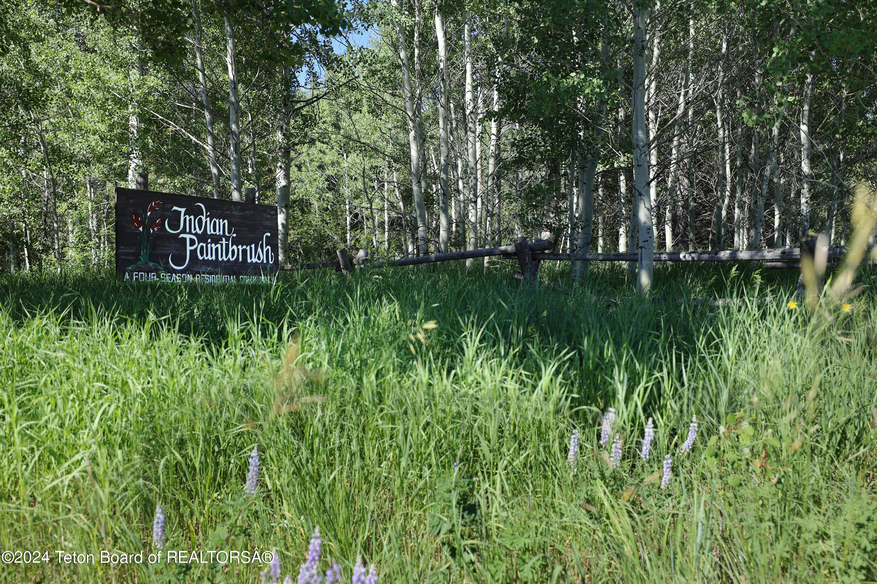 6620 Lupine Trail Wilson, WY 83014 - Photo 10 of 11 6620 Lupine Trail