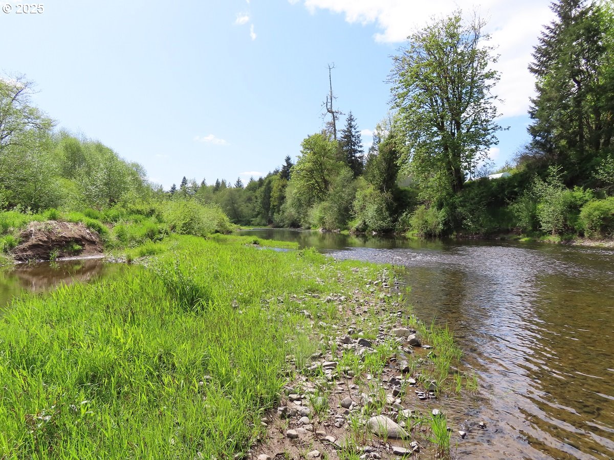 3898 SR 6 Chehalis, WA 98532 - Photo 12 of 22