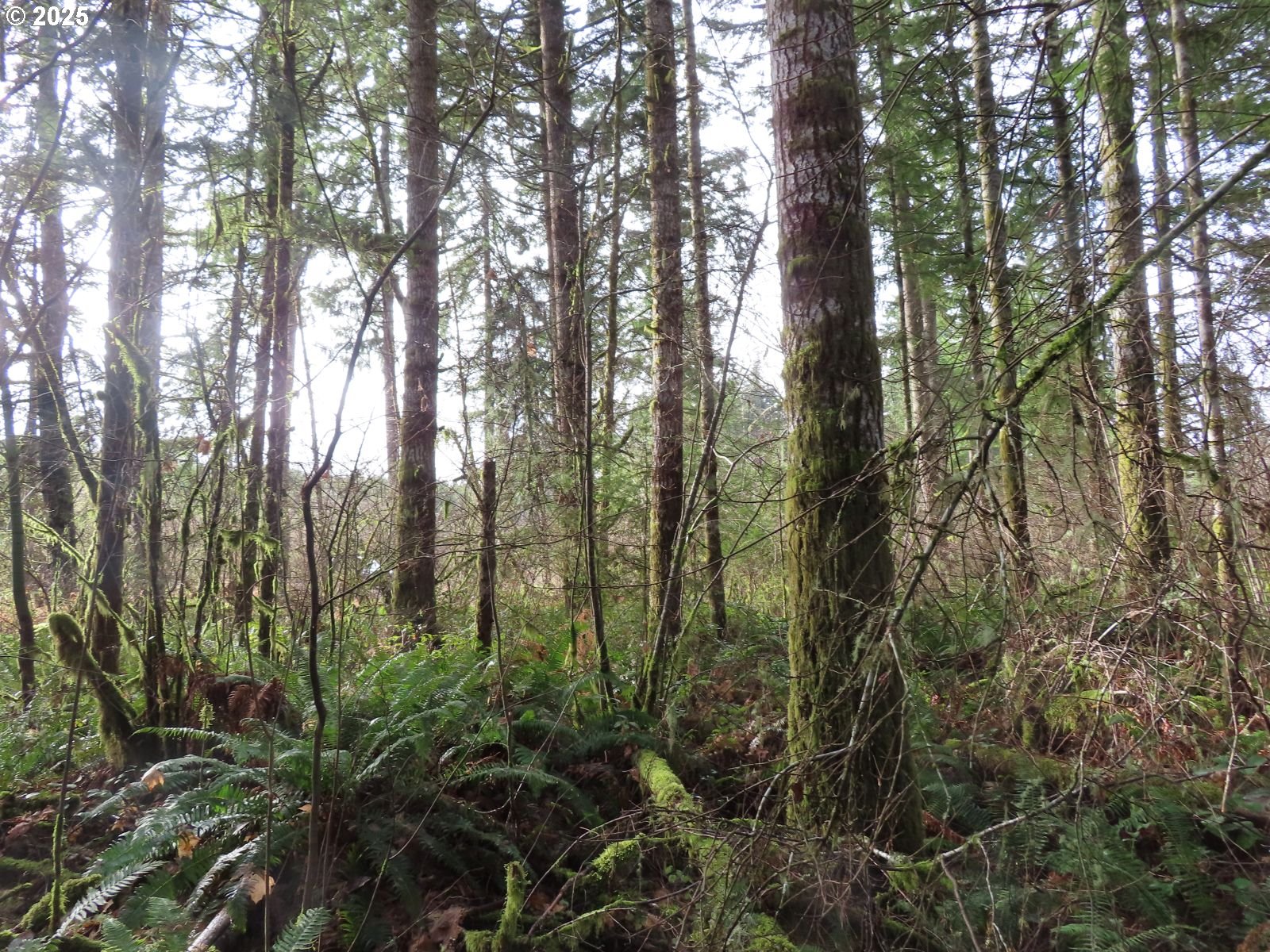 3898 SR 6 Chehalis, WA 98532 - Photo 13 of 22