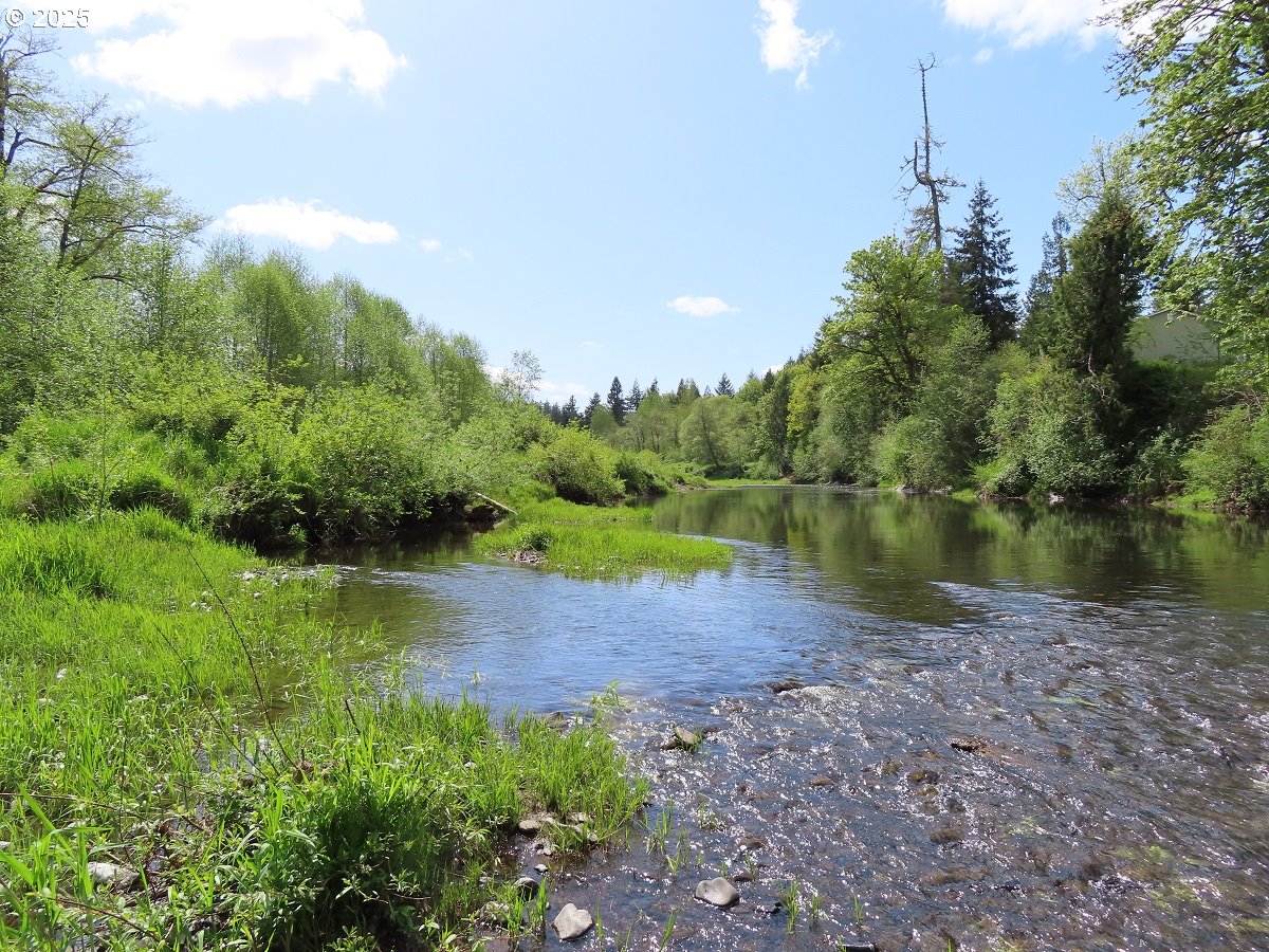3898 SR 6 Chehalis, WA 98532 - Photo 14 of 22