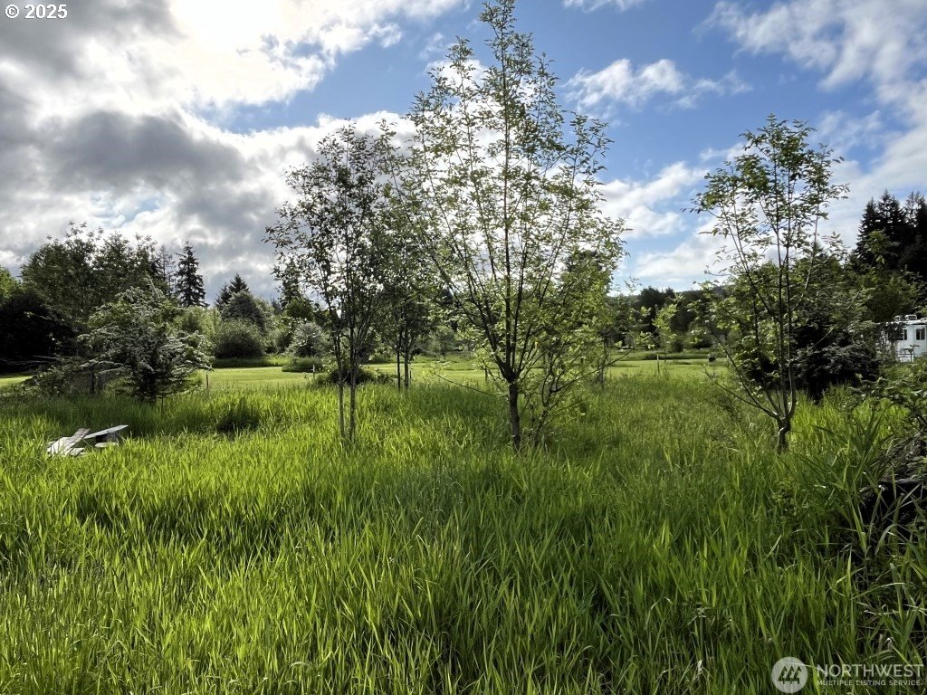 3898 SR 6 Chehalis, WA 98532 - Photo 20 of 22