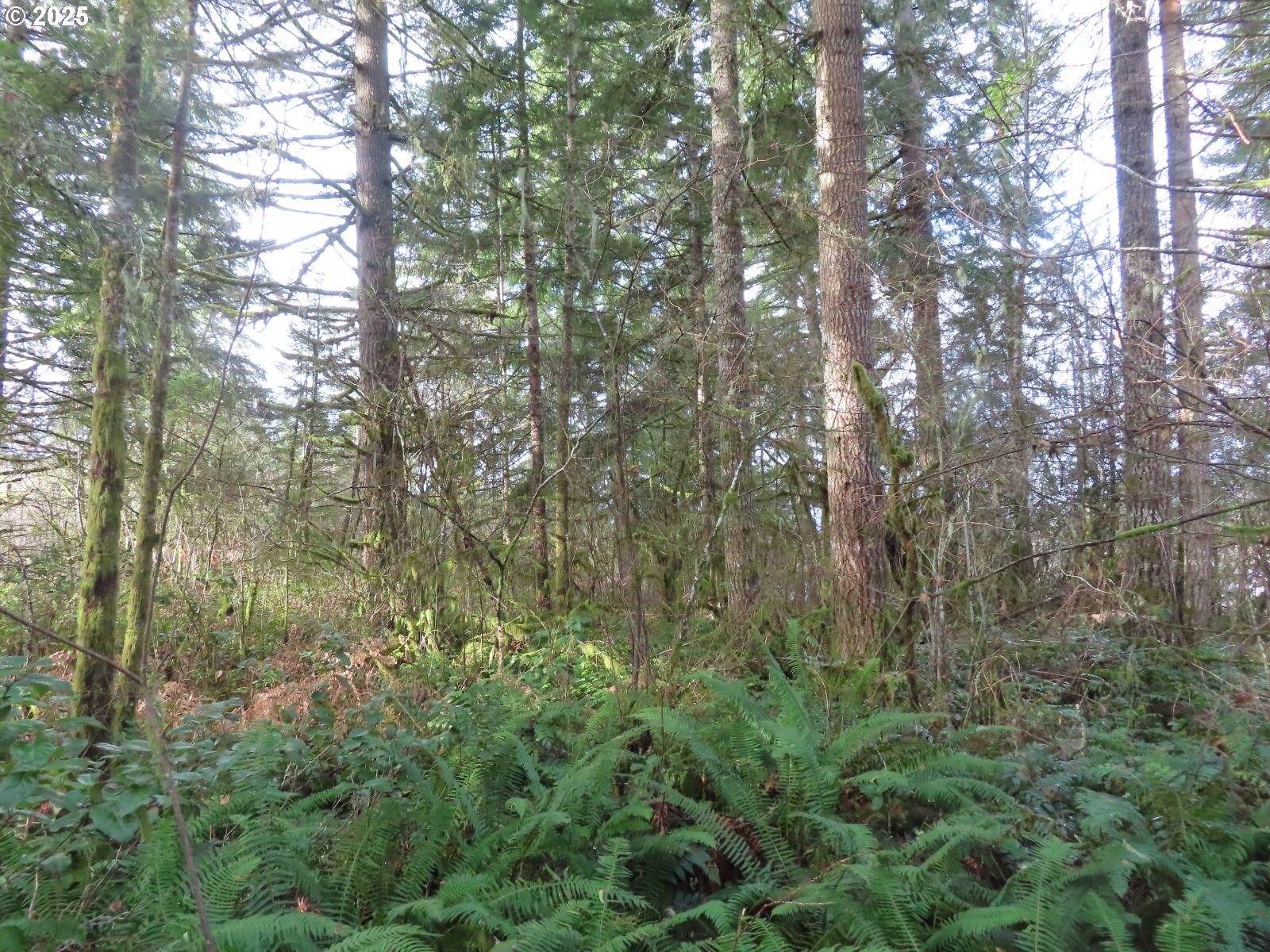 3898 SR 6 Chehalis, WA 98532 - Photo 9 of 22