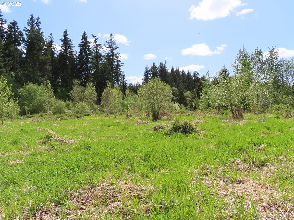 3898 SR 6 Chehalis, WA 98532 - Photo 10 of 22