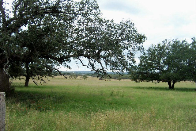 0 Durst Road, Unit 3 Fredonia, TX 76842 - Photo 1 of 1 Main View