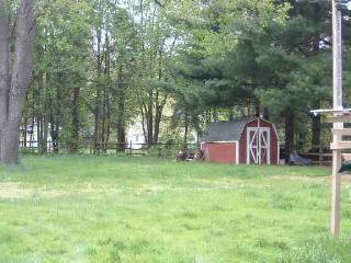 10257 Summerfield Road Temperance, MI 48182 - Photo 5 of 8 463811-4.JPG
