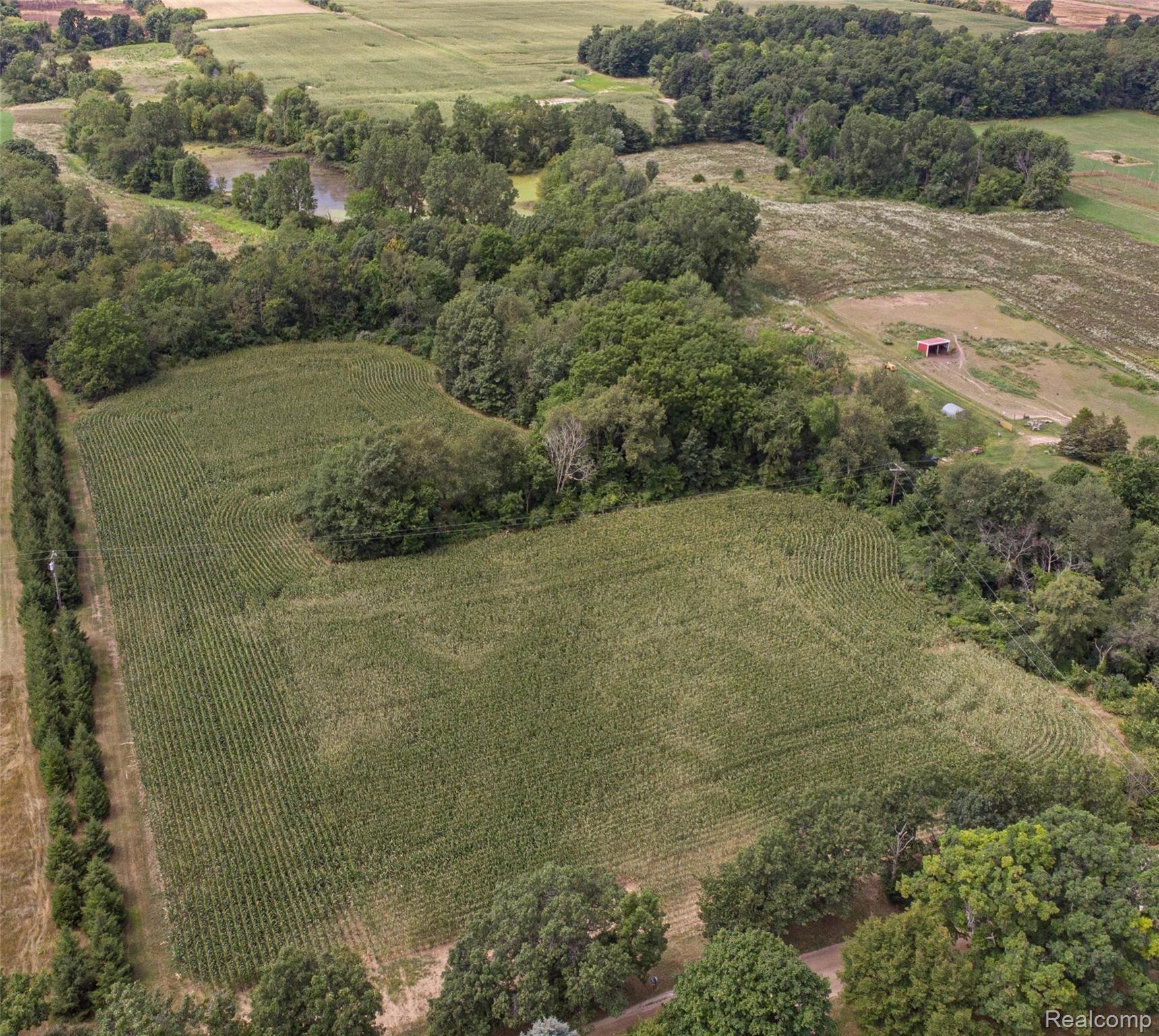 potential build site with elevated view of pond.jpg