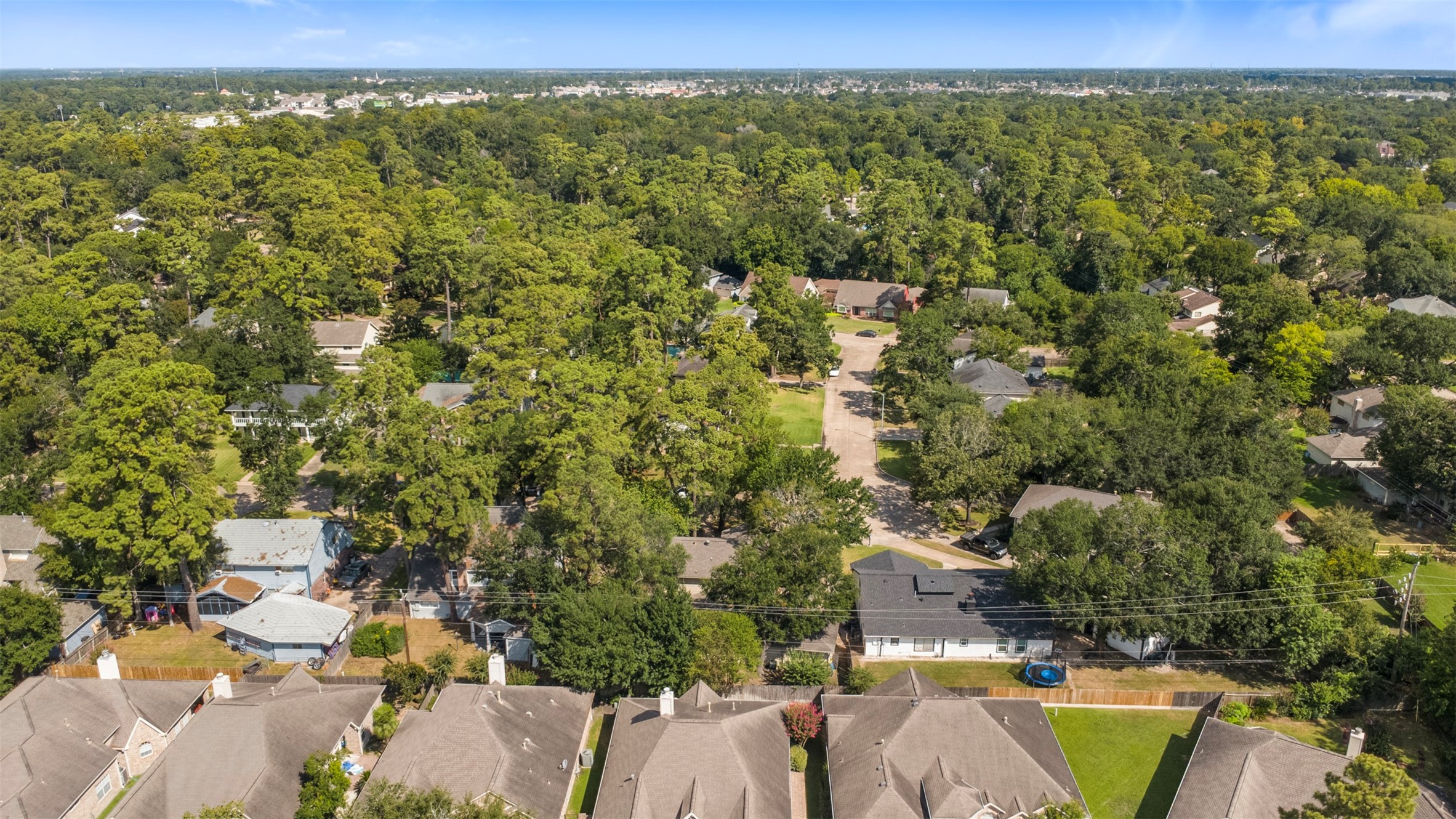 4223 Annawood Circle Spring, TX 77388 - Photo 27 of 30 a view of a city with lush green forest