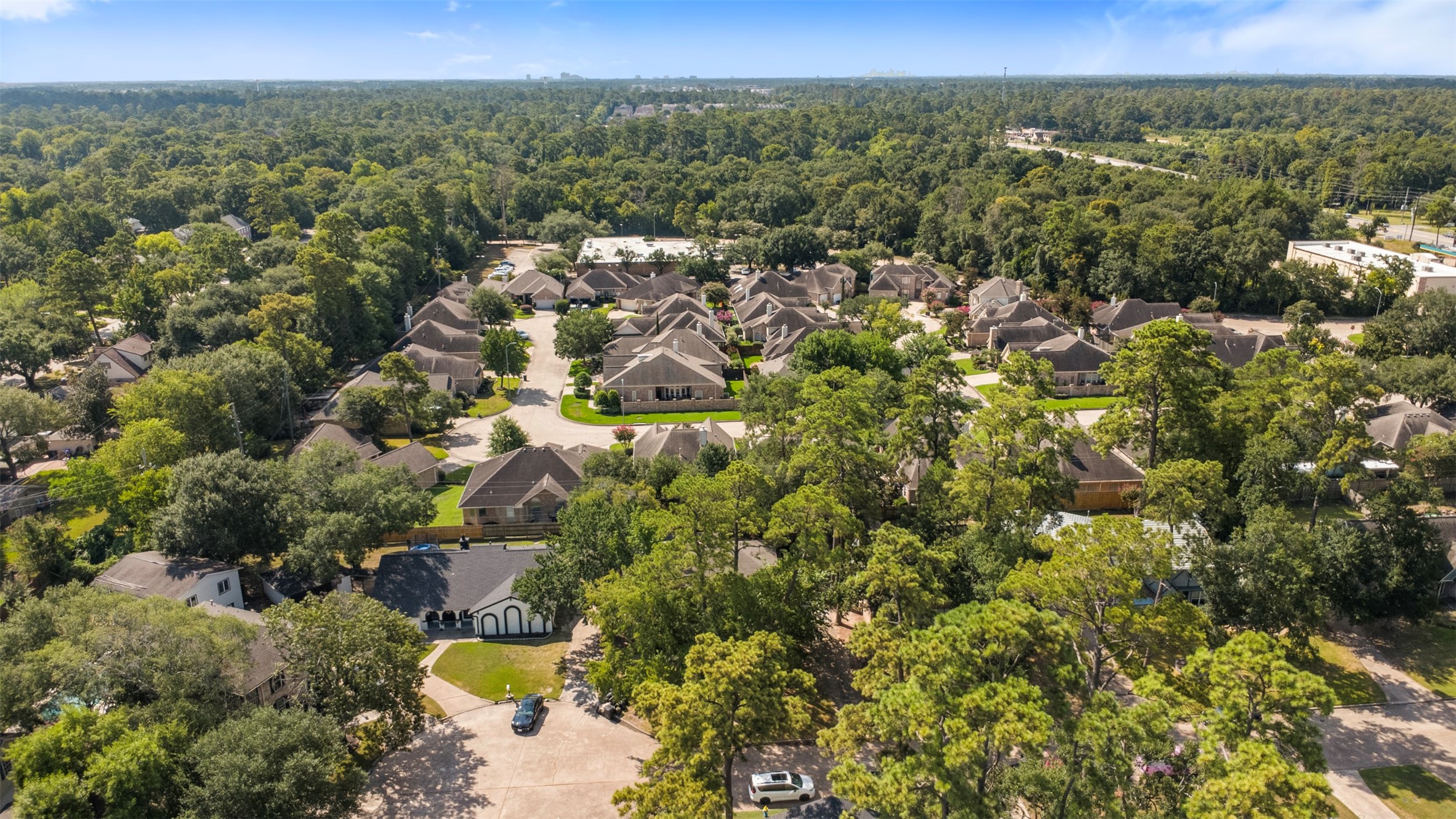 4223 Annawood Circle Spring, TX 77388 - Photo 29 of 30 a view of a city