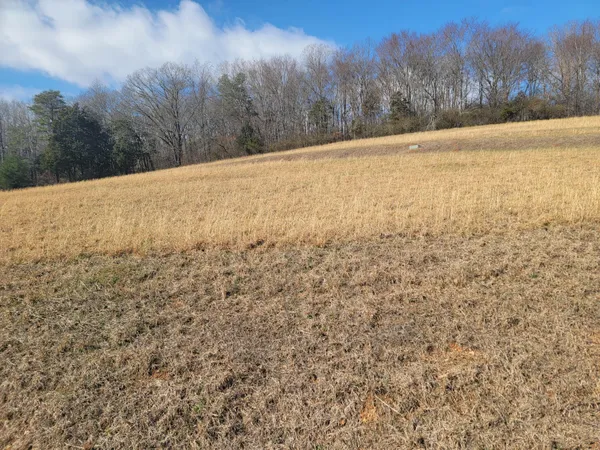 $30,000 | Lot 38 Goodfield Terrace Road, Decatur, TN 37322