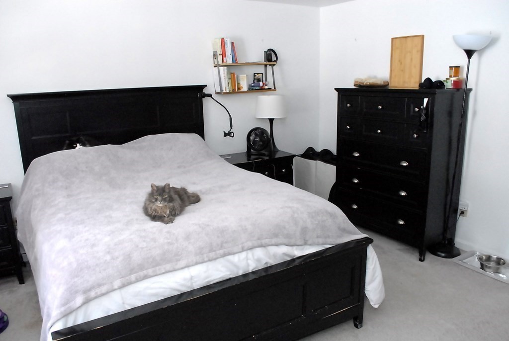 68 Normal Hill Road Framingham, MA 01702 - Photo 33 of 42 Gallery Image 33