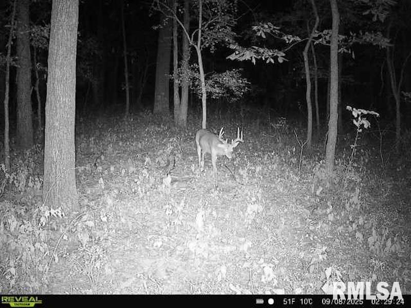4 4h Road Bridgeport, IL 62417 - Photo 63 of 85