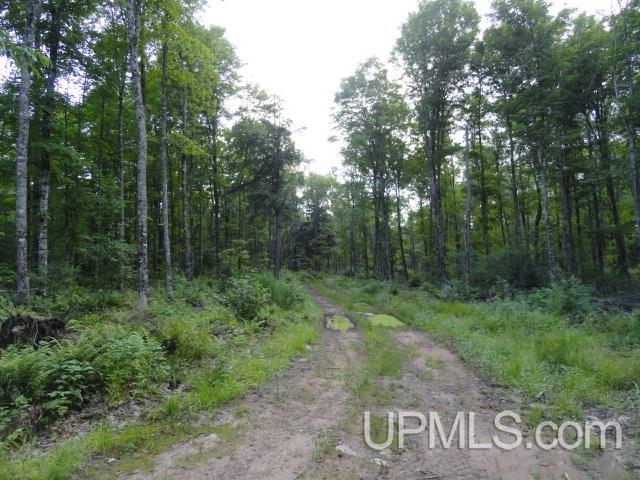 Tbd Norway Lake Road Sidnaw, MI 49961 - Photo 7 of 17