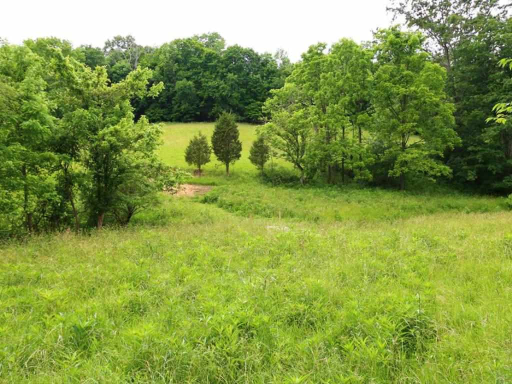 0 Stonehouse Road Melbourne, KY 41059 - Photo 4 of 17
